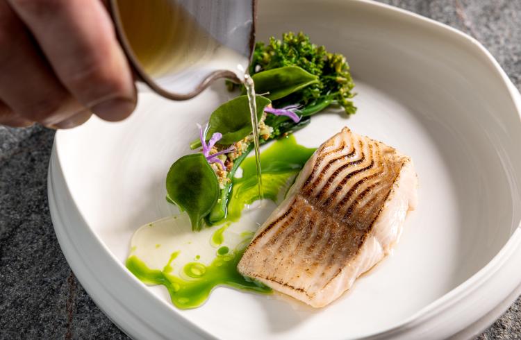 Forelle_07-24_Food_72dpi_005 Forelle_07-24_Food_72dpi_005